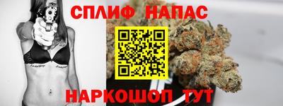 apvp Обнинск