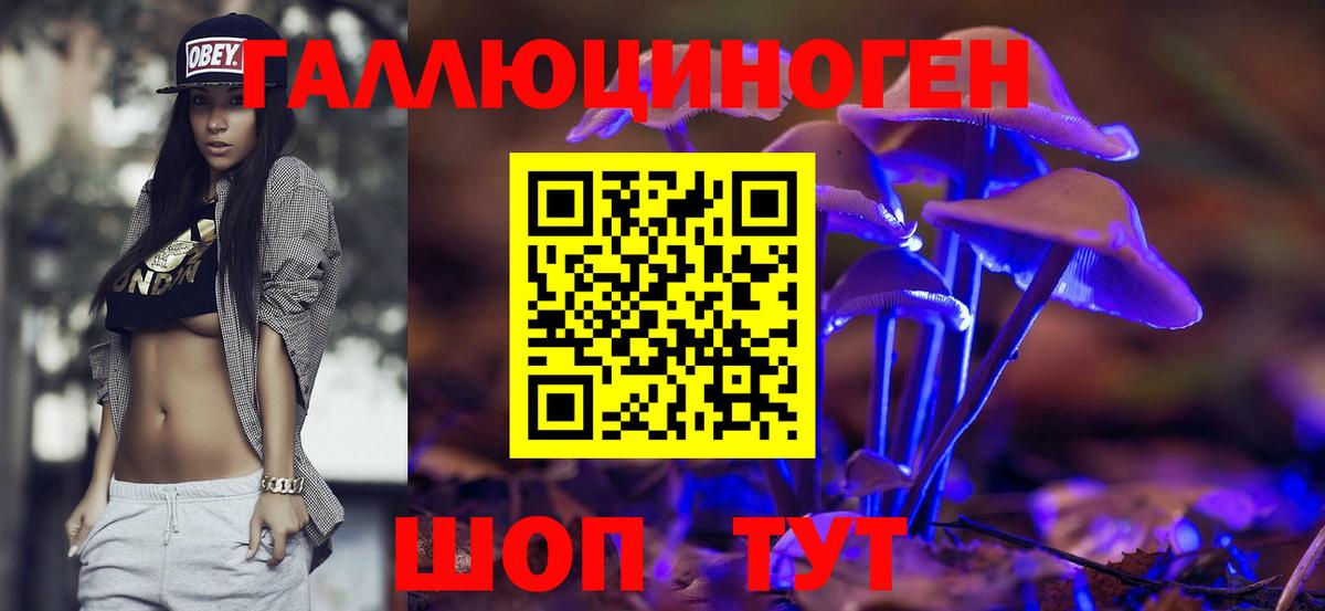 Псилоцибиновые грибы Psilocybine cubensis Троицк